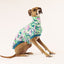 Lava Lamp Italian Greyhound Sleeveless Hound-Tee