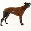 Gumtree Greys Black Greyhound Long Sleeve Hound-Tee