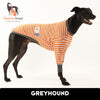 Gumtree Greys Greyhound Long Sleeve Hound-Tee