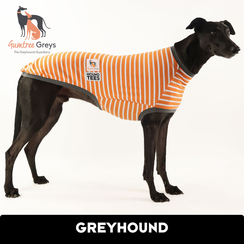 Gumtree Greys Greyhound Sleeveless Hound-Tee
