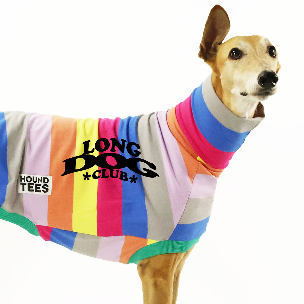 Hound-Tees for Fashion Forward Greyhounds – houndtees