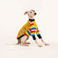 Harriet's Hounds Italian Greyhound Long Sleeve Hound-Tee
