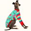 Whippet modelling Ho-Ho-Hounds Long Sleeve Tee in turquoise Christmas print with rainbow-striped sleeves