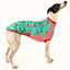 Greyhound modelling Candy Cane Sleeveless Tee with turquoise festive hound print and red-white stripe trim