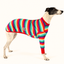 Greyhound modelling Candy Crismutts Long Sleeve Tee in colourful rainbow stripes and red trim