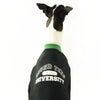 University Greyhound Sweater