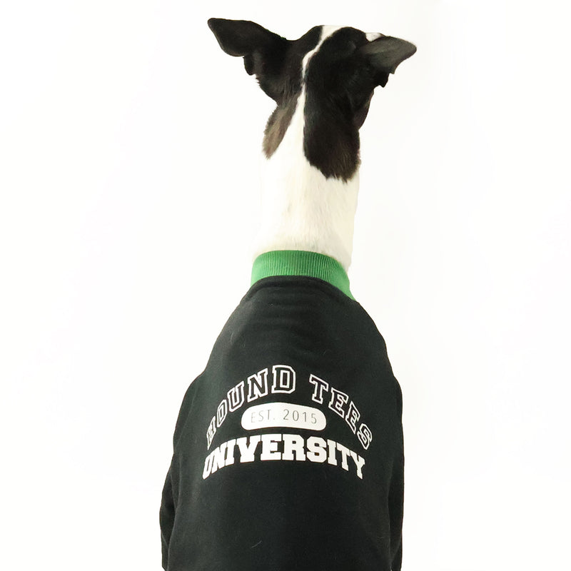 University Greyhound Sweater