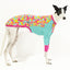 Houndini Candy Greyhound Long Sleeve Hound-Tee