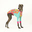 Houndini Candy Whippet Long Sleeve Hound-Tee