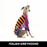 Frankie Italian Greyhound Long Sleeve Hound-Tee