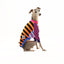 Frankie Italian Greyhound Long Sleeve Hound-Tee