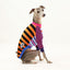 Frankie Italian Greyhound Long Sleeve Hound-Tee