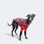 Peggy Disco Whippet Long sleeve Hound-Tee