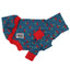 Ch-Cherry Bomb Italian Greyhound Long Sleeve Hound-Tee