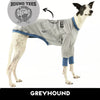 In Hounds We Trust Greyhound Sweater