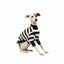Jailbreak Italian Greyhound Long Sleeve Hound-Tee