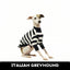 Jailbreak Italian Greyhound Long Sleeve Hound-Tee
