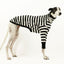 Jailbreak Greyhound Long Sleeve Hound-Tee