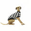 Jailbreak Italian Greyhound Sleeveless Hound-Tee