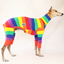 Jellybeans Greyhound Long Johns