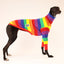 Jellybeans Greyhound Long Sleeve Tweater