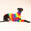 Jellybeans Greyhound Long Sleeve Tweater