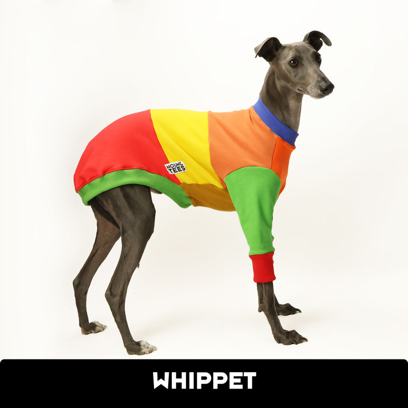 Frankie Jester Whippet Sweater