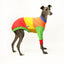 Frankie Jester Whippet Sweater