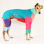 Frankie Jester Greyhound Long Johns