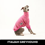 Juniper Italian Greyhound Tweater
