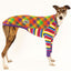 Kaleidoscope Greyhound Long Sleeve Hound-Tee