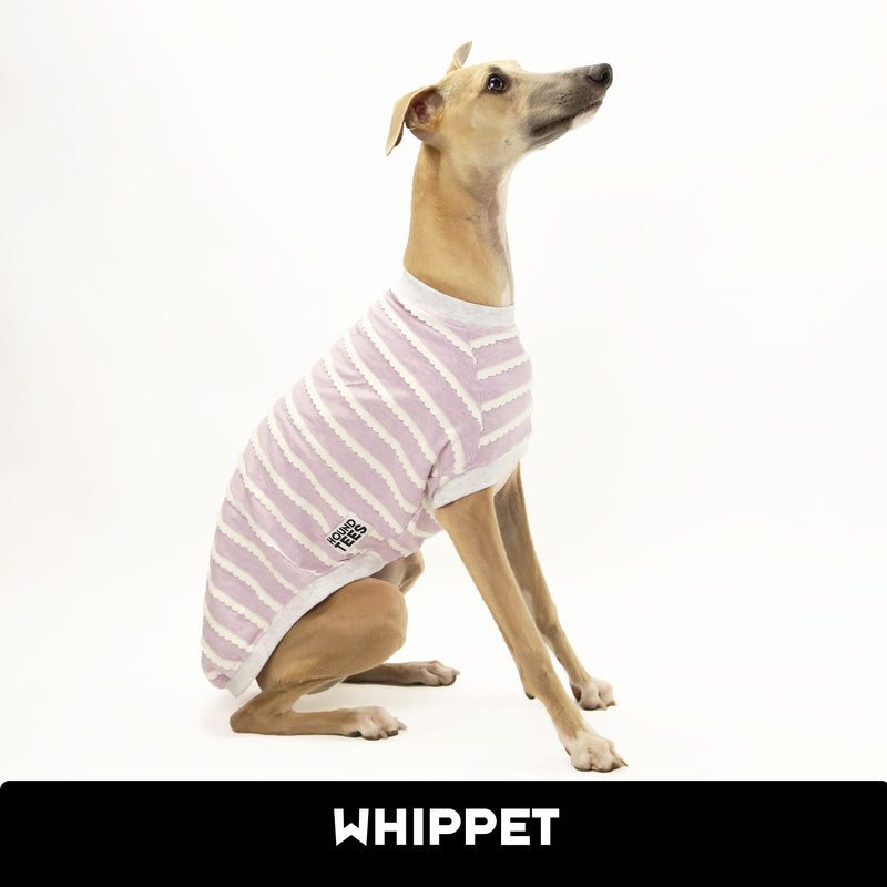 LacieLacey Whippet Sleeveless Hound-Tee