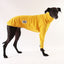 Lemon Drop Greyhound Long Sleeve Tweater