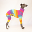 Lemon Meringue Whippet Long Johns