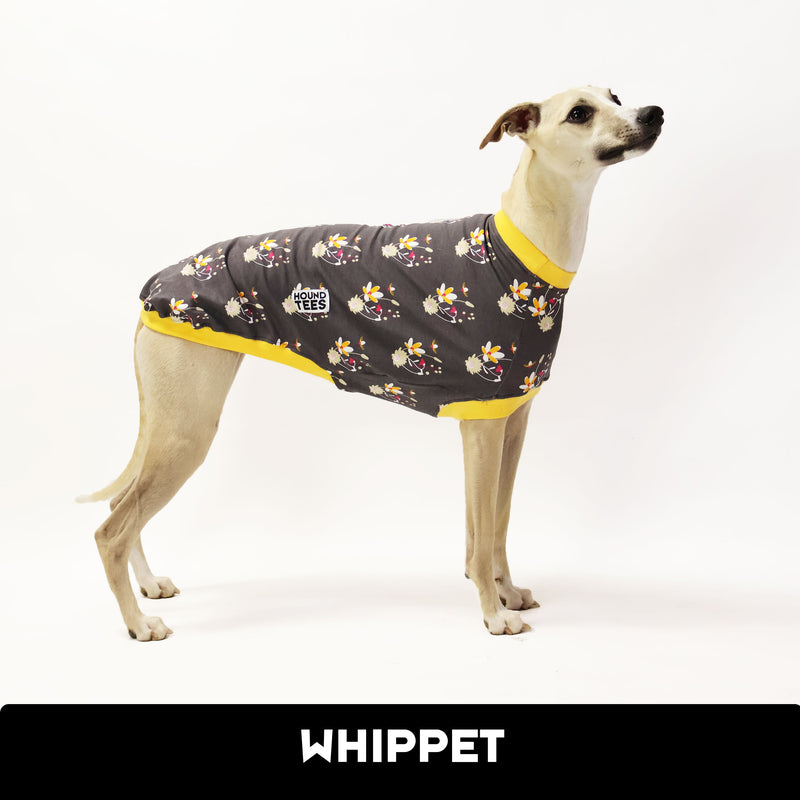 Lil Sweetie Whippet Sleeveless Hound-Tee