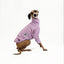Lilac Love Italian Greyhound Quilted Long Sleeve Sweater