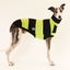 Big Lebowski Whippet Sleeveless Tweater in lime green fat stripes, first product view