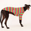 Liquorice Allsorts Greyhound Long Sleeve Hound-Tee