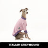 Little Lilac Italian Greyhound Tweater LARGE ONLY