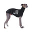 *MADE TO ORDER* Long Dog Club Whippet Hound-Tee