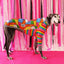 Patchwork Love Greyhound Long Sleeve Hound-Tee
