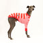 Love Candy Whippet Long Sleeve Hound-Tee