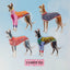 Dress Your Hound Magnet Sheet