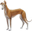 Magnet Greyhound