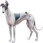 Magnet Greyhound