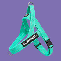 WALKING GEAR
