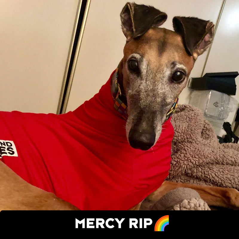 Mercy Greyhound Tweater Long Johns