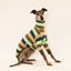 Mint Slice Whippet Long Sleeve Tweater
