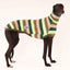 Mint Slice Greyhound Sleeveless Tweater
