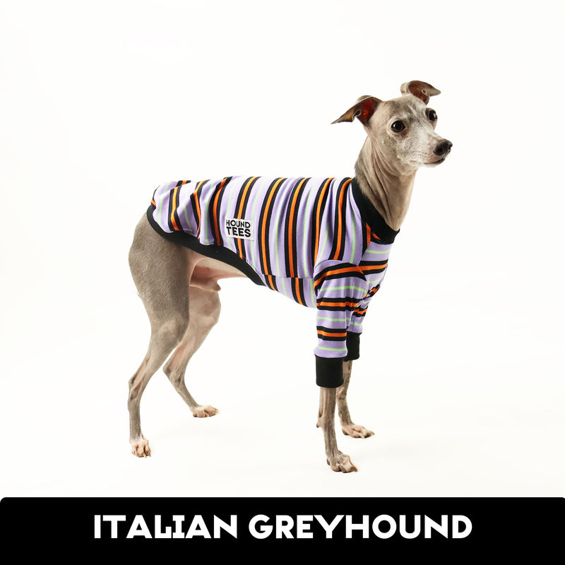 Monster Mash Italian Greyhound Long Sleeve Hound-Tee